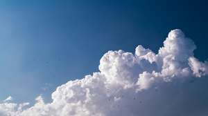 Nature Clouds Sky Bright Outdoors Photography Birds 5633x3169 Wallpaper