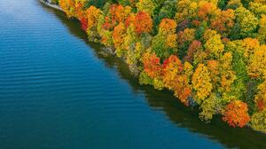 Aerial Fall Forest Lake 1920x1200 Wallpaper