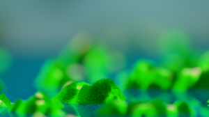 Blender Simple Background Green Minimalism CGi 1920x1080 Wallpaper
