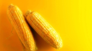 Food Corn 2560x1600 Wallpaper