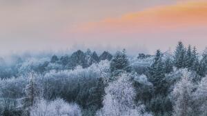 England UK Nature Landscape Frost Winter Morning Forest Trees Sunset 11500x3566 Wallpaper