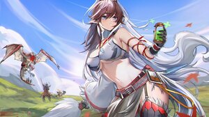 Monster Hunter Rathalos Potions Anime Girls Arknights Kirin X Yato Arknights Pointy Ears Creature Cl 2048x1308 Wallpaper