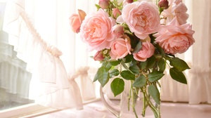 Earth Peony Rose Vase Still Life Pink Flower 2048x1621 Wallpaper