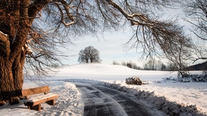Nature Winter Road Trees Cold Snow Ice Outdoors 3840x2160 Wallpaper