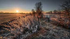 Landscape Cold Ice Frost Sunlight Outdoors Winter Nature 6144x3456 Wallpaper