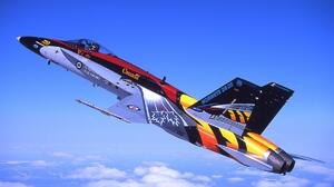 McDonnell Douglas CF 18 Hornet Jet Fighter Aircraft 1801x1088 Wallpaper