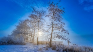 Winter Cold Outdoors Ice Snow Frost Trees Sunlight 3840x2160 Wallpaper