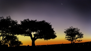 Digital Painting Digital Art Landscape Twilight Silhouette Trees 1920x1080 Wallpaper