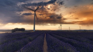 Field Flower Lavender Purple Flower Spain Wind Turbine 5120x3250 Wallpaper