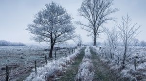 Outdoors Field Winter Cold Ice Snow 3840x2160 Wallpaper