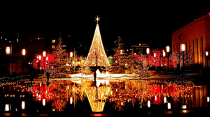 Christmas Christmas Lights Christmas Tree Night Reflection 2560x1600 Wallpaper