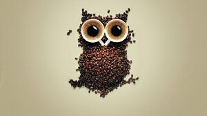 Artistic Coffee Coffee Beans Funny Owl 1920x1200 Wallpaper