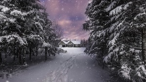 Earth House Path Snow Snowflake Tree 1920x1200 Wallpaper