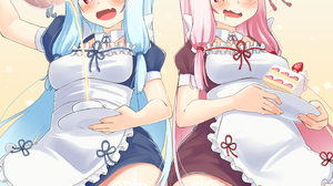 Anime Anime Girls Voiceroid Long Hair Pink Hair Blue Hair Twins Kotonoha Akane Kotonoha Aoi Artwork  1448x1448 Wallpaper