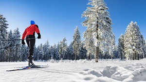 Skiing Snow Tree Winter 8446x3840 wallpaper