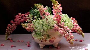 Flower Lupine Pink Flower Vase 2700x1816 Wallpaper
