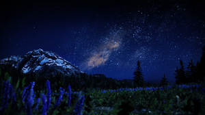 Red Dead Redemption 2 Night Nature Milky Way Forest Valley Digital Art Video Games Sky Clouds Video  2560x1440 Wallpaper