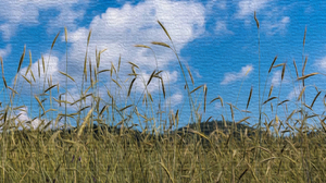Artistic Wheat 3840x2160 Wallpaper