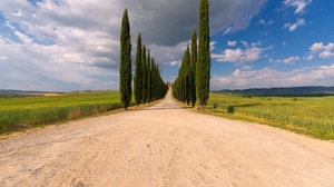 Cloud Dirt Road Field Italy Sky Tree Tree Lined Tuscany 2048x1367 Wallpaper