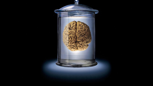 Brain Glass Jar Backlighting Dark Background Digital Art 1920x1200 Wallpaper