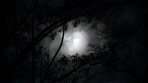 Digital Painting Digital Art Moonlight Night Silhouette Sky Clouds Moon 1920x1080 Wallpaper