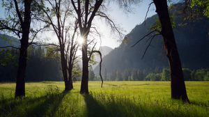 A Perfect Planet TV Series Film Stills BBC Grass Trees Mountains Sunlight 3840x2160 Wallpaper