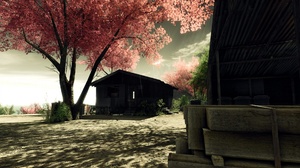 Hut Sakura Blossom Tree 1920x1200 Wallpaper