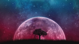 Night Pink Planet Planet Rise Sky Stars Tree 2560x1600 Wallpaper