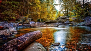 Fall Forest Nature Rock Stream 4595x2585 Wallpaper