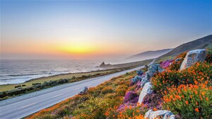 Coast California Big Sur Flower Horizon 1920x1080 Wallpaper