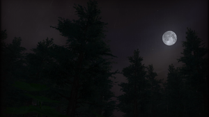 Moon Night Video Games Trees Rain Stars Dark Sky 1920x1200 Wallpaper