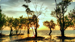 Thailand Sunset Beach Trees Retouching 2432x1372 Wallpaper