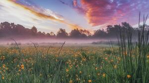 England Grass Mist Landscape Morning Clouds Nature 5284x3750 Wallpaper