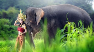 Model Traditional Costume Thai Elephant Brunette 2047x1225 wallpaper