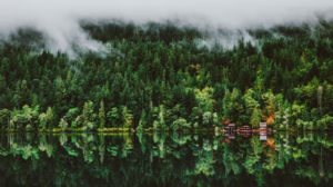 Nature Greenery Water Forest Lake Trees Mist House Cabin Reflection 2560x1440 Wallpaper