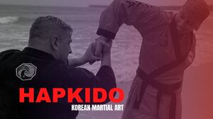 Korean Martial Arts Hapkido 1920x1080 wallpaper