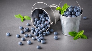 Food Blueberries Fruit Bucket Leaves 2000x1334 Wallpaper