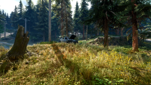 Days Gone Video Games Digital Art Apocalyptic Nature Zombies Game Art Bend Studios Forest Reshade 2560x1440 Wallpaper