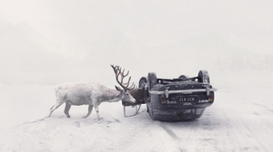 Car Vehicle Winter Animals Accidents Deer Snow Martin Stranka Road Photography Snowing Upside Down C 1920x1200 Wallpaper