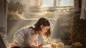 Sunbeam Chick Baby Animal Girl Little Girl 1920x1280 Wallpaper