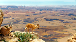 Planet Earth Ii TV Series Film Stills BBC Landscape Sky Mountains Goats Animals Horns 3840x2160 Wallpaper
