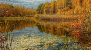Fall Forest Lagoon Leaf Nature Water 1920x1200 Wallpaper