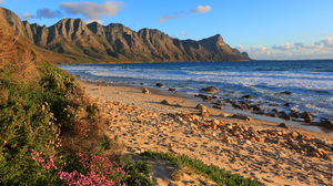 Beach Coast Sand Sea South Africa Stone 4200x3006 Wallpaper
