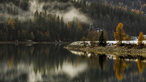 Fall Winter Mist Landscape Lake Reflection Forest Pine Trees 3000x2048 Wallpaper