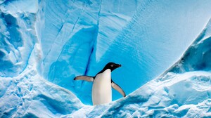 Penguins Glacier 3840x2160 Wallpaper