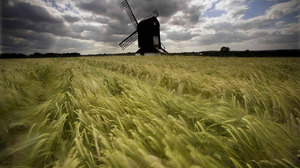 Field Landscape Clouds Windmill 1280x800 Wallpaper
