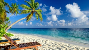 Palm Tree Sea Horizon Sand Sky Tropics 4156x2774 Wallpaper