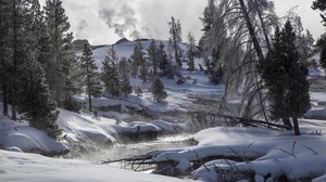 Yellowstone Wyoming Winter Tree Landscape Snow Wilderness River Nature 2200x1466 Wallpaper