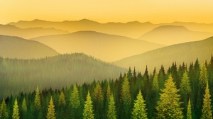 Digital Painting Digital Art Nature Landscape Trees Mountains 1920x1080 Wallpaper