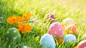 Holiday Easter 5520x3684 Wallpaper